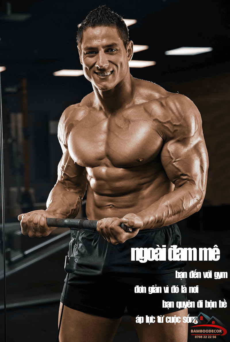 Tranh-phong-gym
