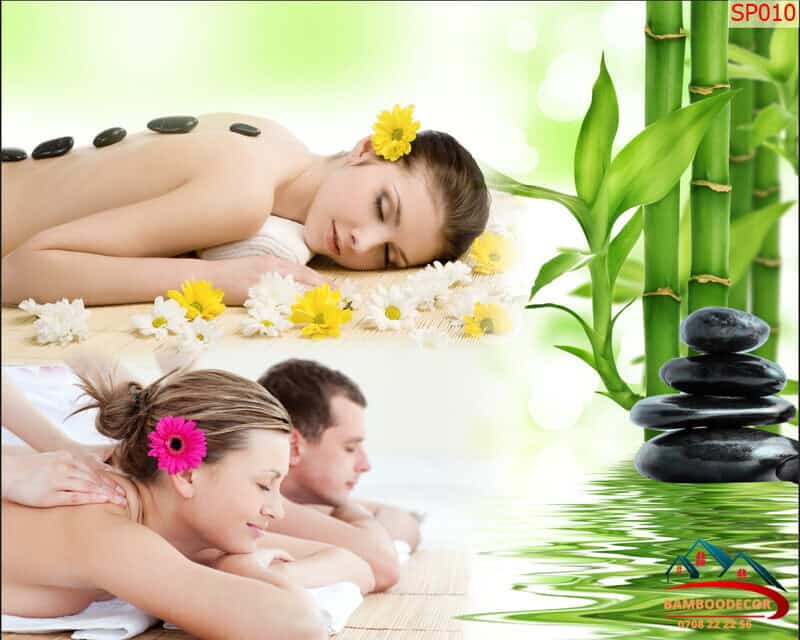 tranh-spa