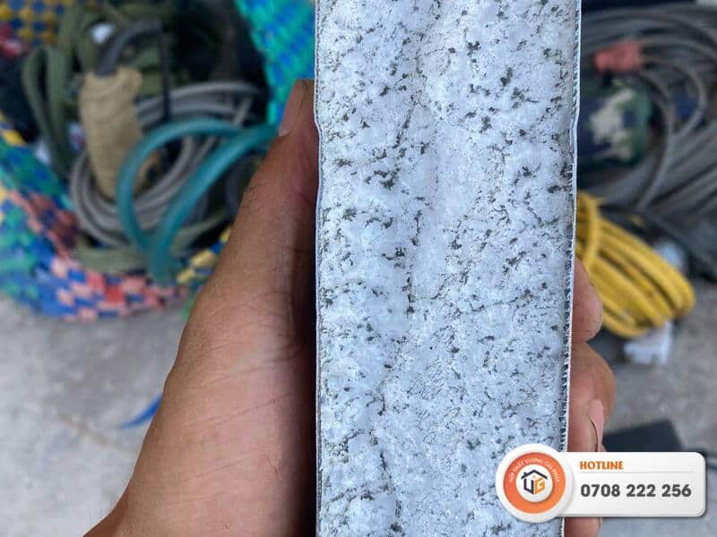 tam panel tien giang 19