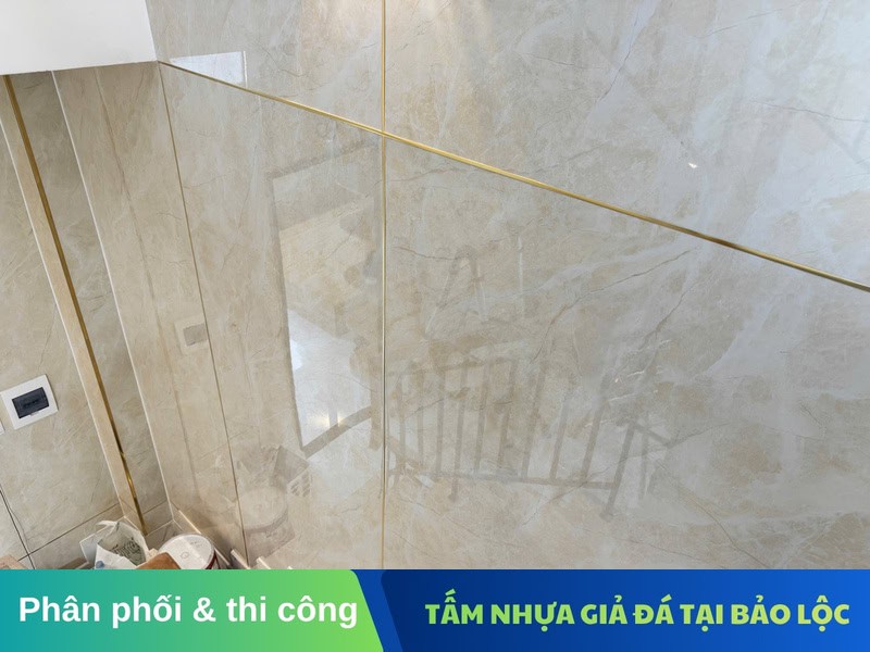 tam nhua gia da bao loc 7