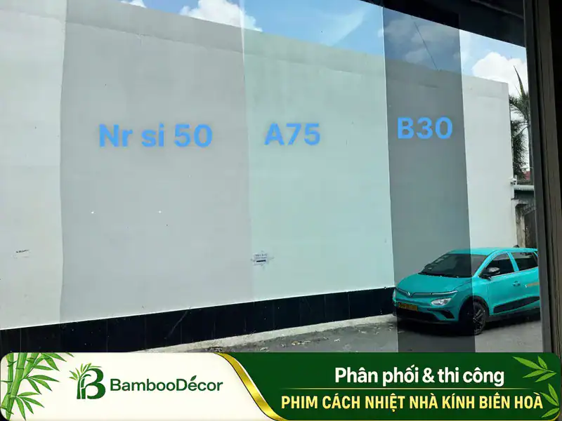 Dán Demo khách lựa chọn dòng phim phù hợp tại Biên Hoà